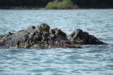 Rocks Stone In The Sea