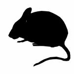 Silhouette Mouse Sitting