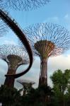 Singapore Sky Tree