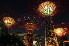 Singapore Sky Tree Night View