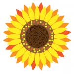 Sunflower Floral Clipart