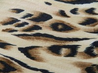 Animal Fabric Patterns 2013 (2)