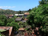 Tropical Shanty Village