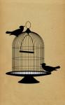 Vintage Birds Birdcage Card