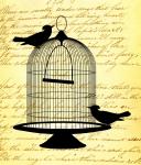 Vintage Birds Script Background