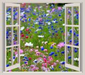 Wild Flowers Window Frame View
