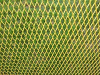 Yellow Net Pattern Texture