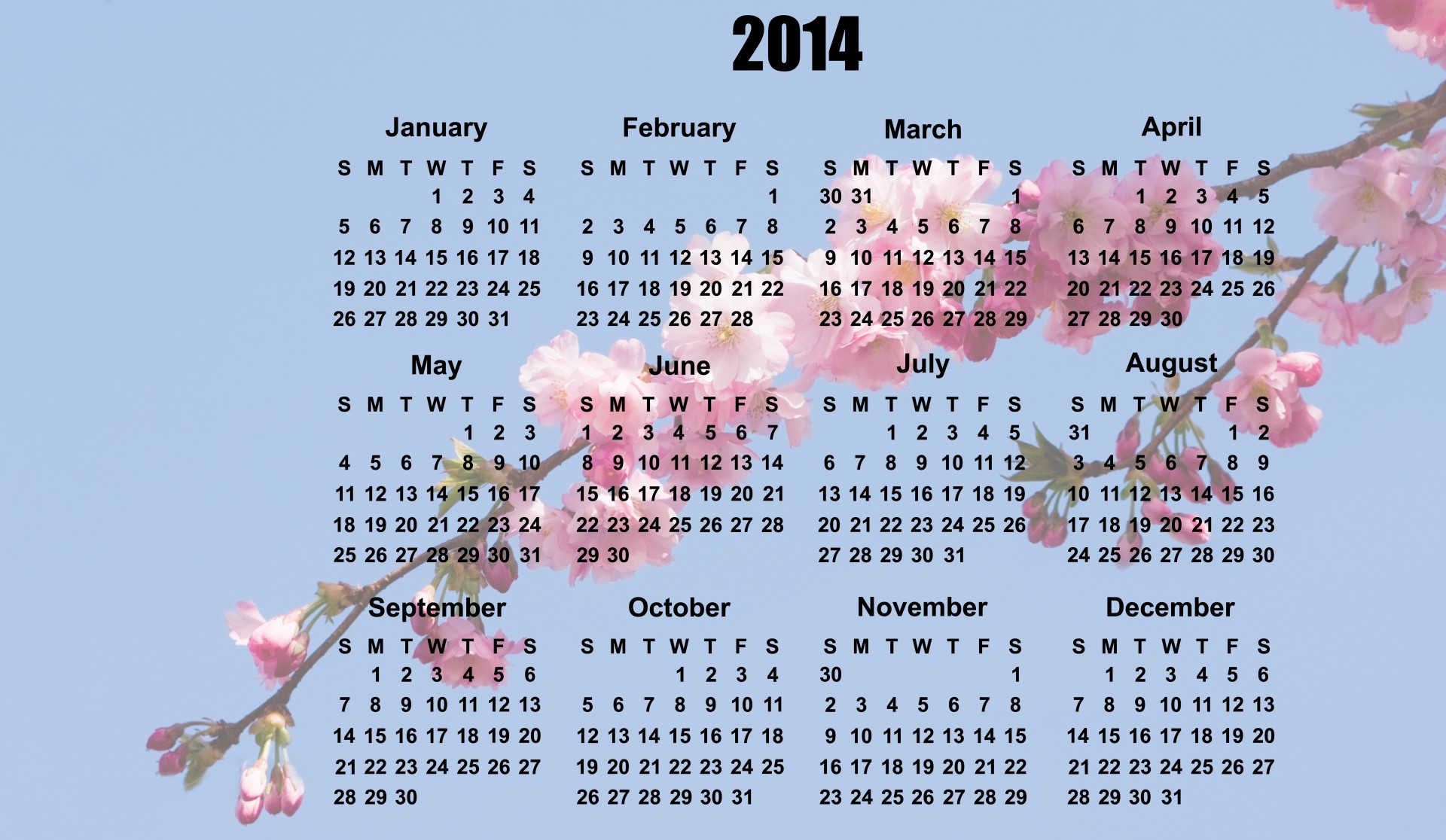 2014 Calendar Blossom Flowers