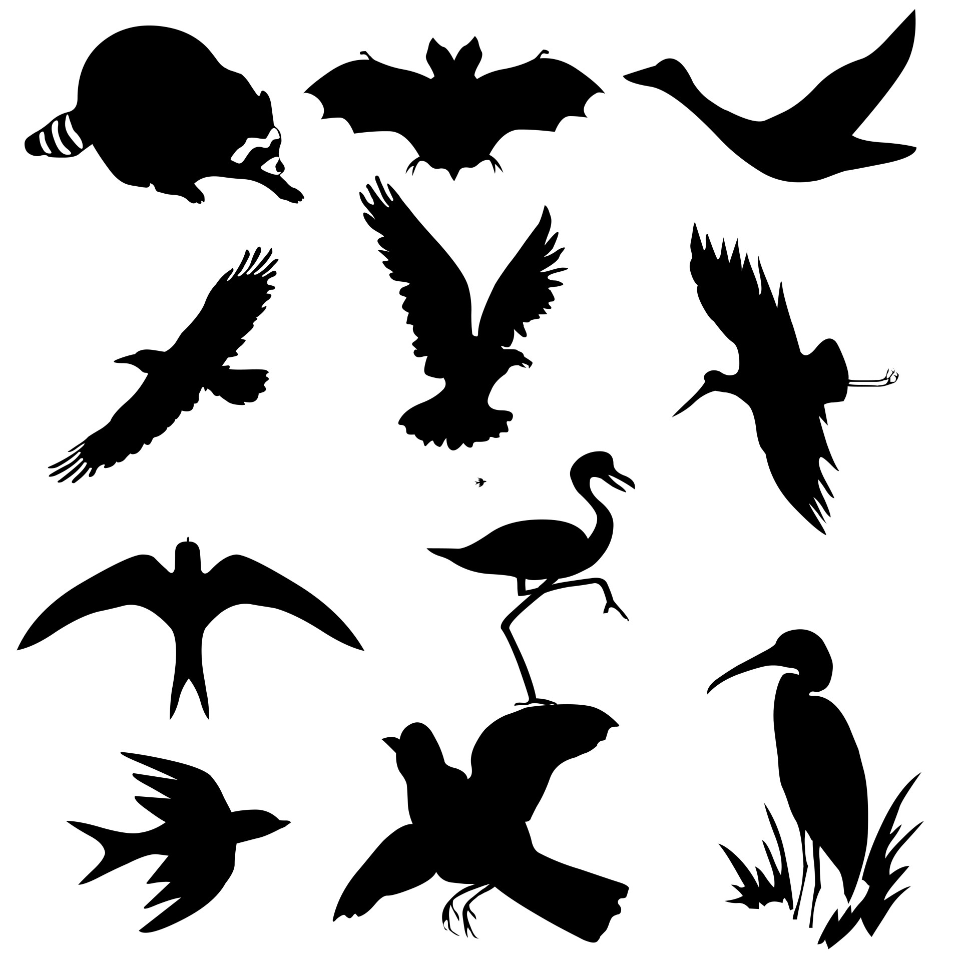 Birds Silhouettes