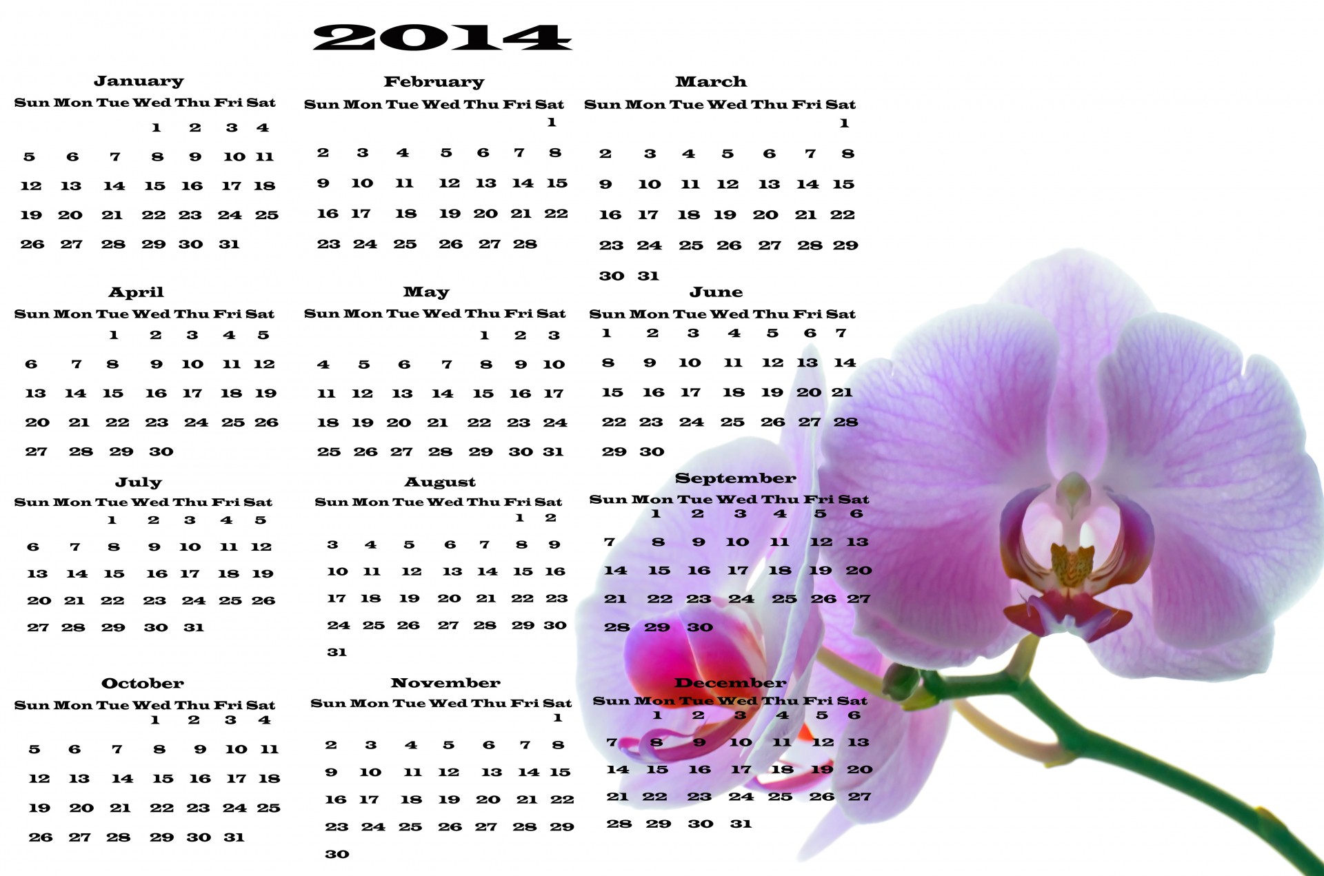Calendar 2014 - Flowers