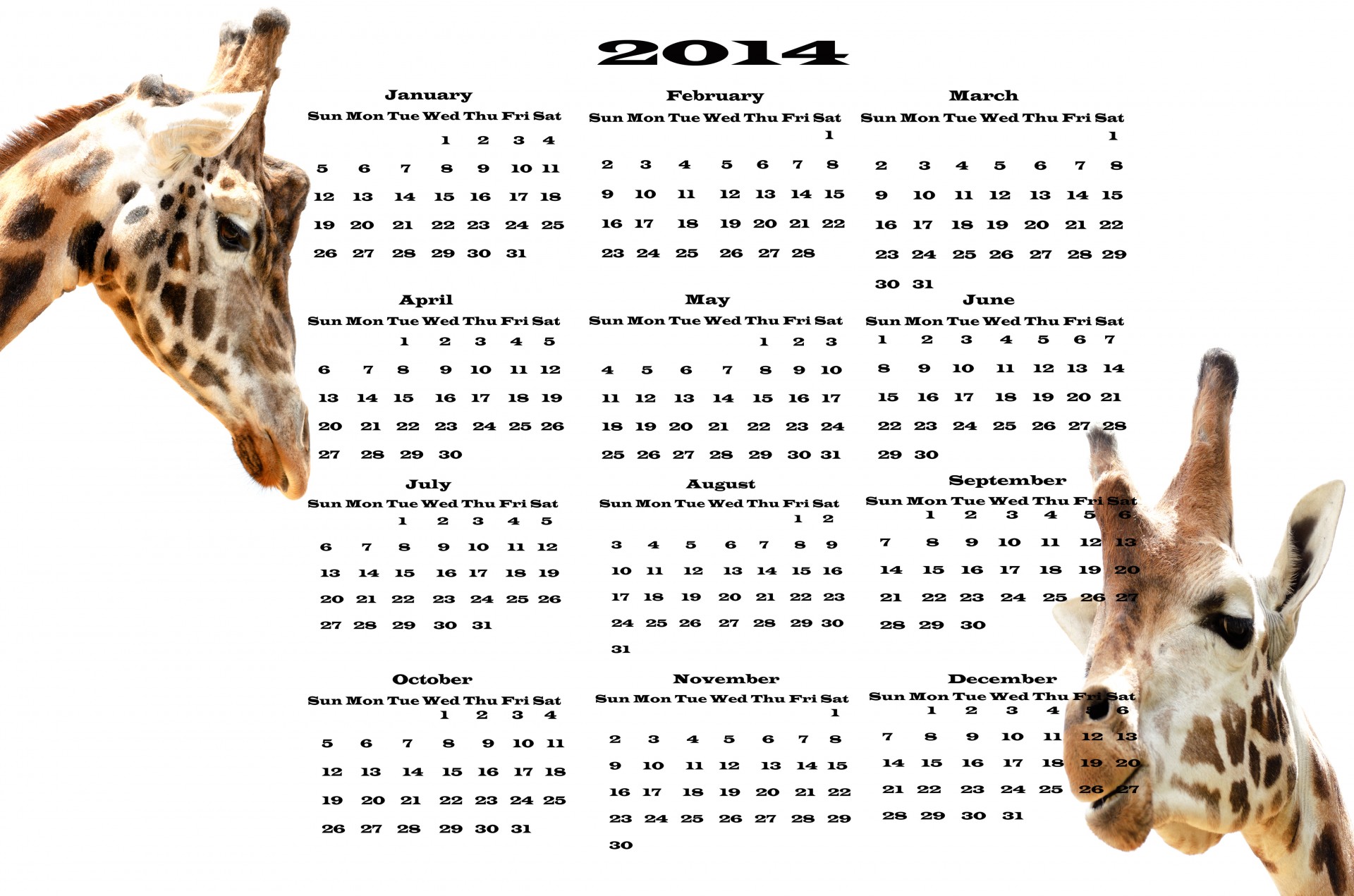 Calendar 2014 - Giraffe
