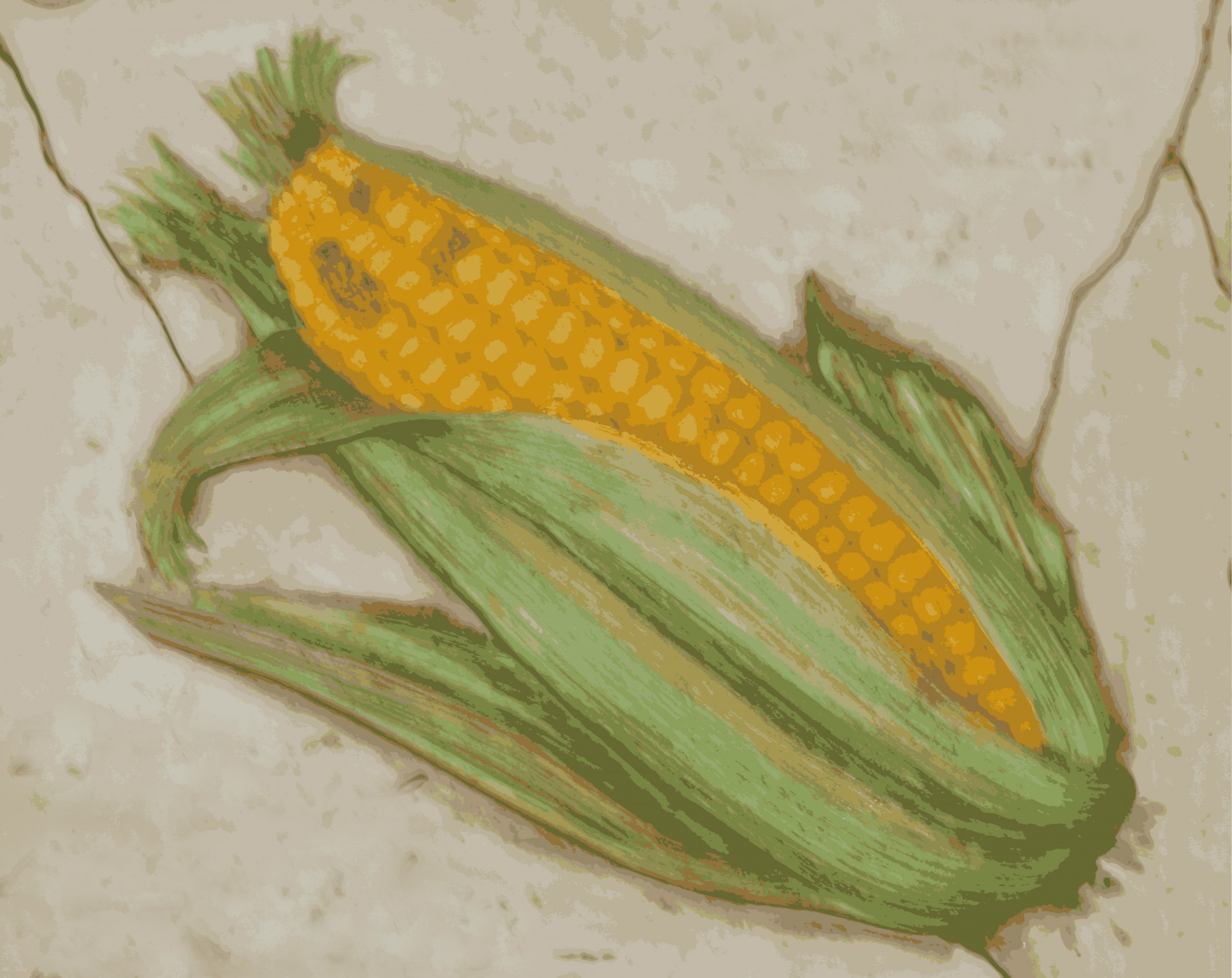 Corn on the cob, sweet corn on old tile illustration