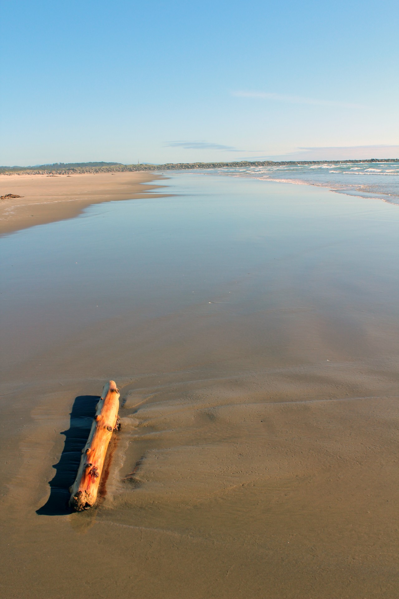 A driftwood log settles into the sand on the beach