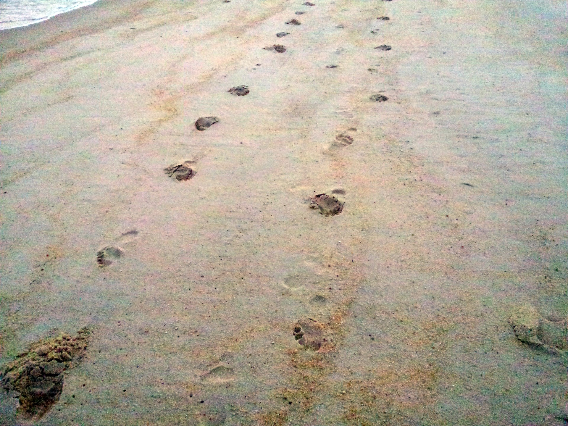 Footprint On The Beach