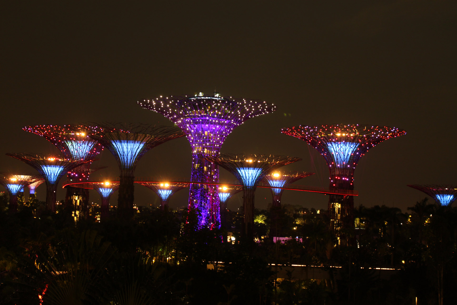 Garden By The Bay Night View