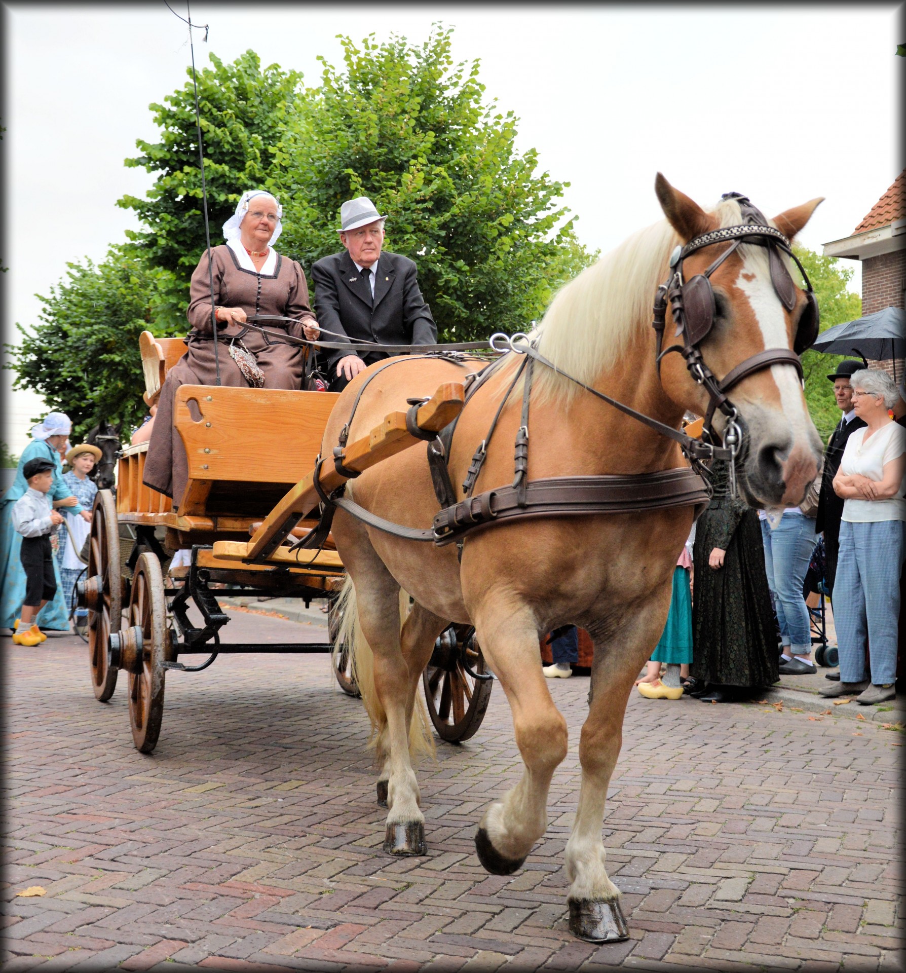 Dutch Authentic Carriages 04