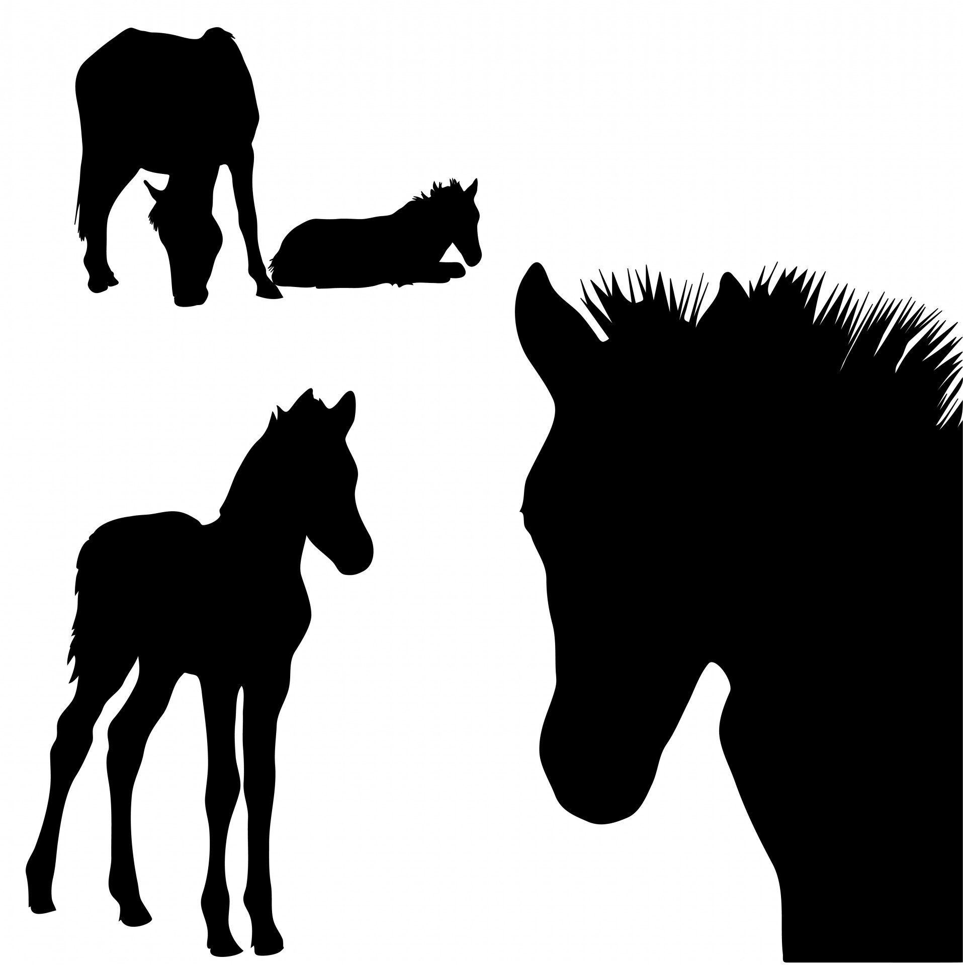 Black silhouettes of horses and foal clipart for scrapbooking
