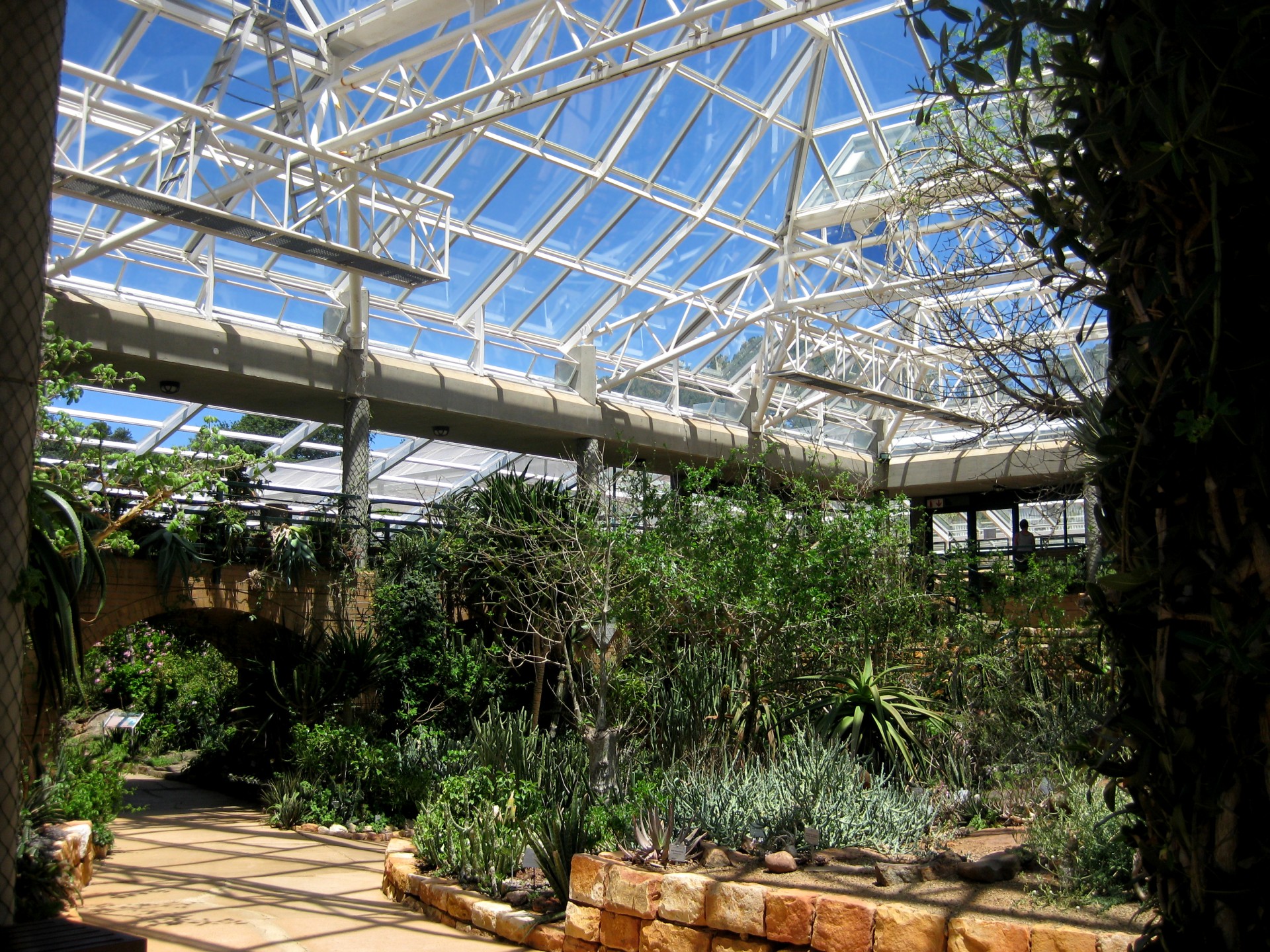 Inside Of Greenhouse