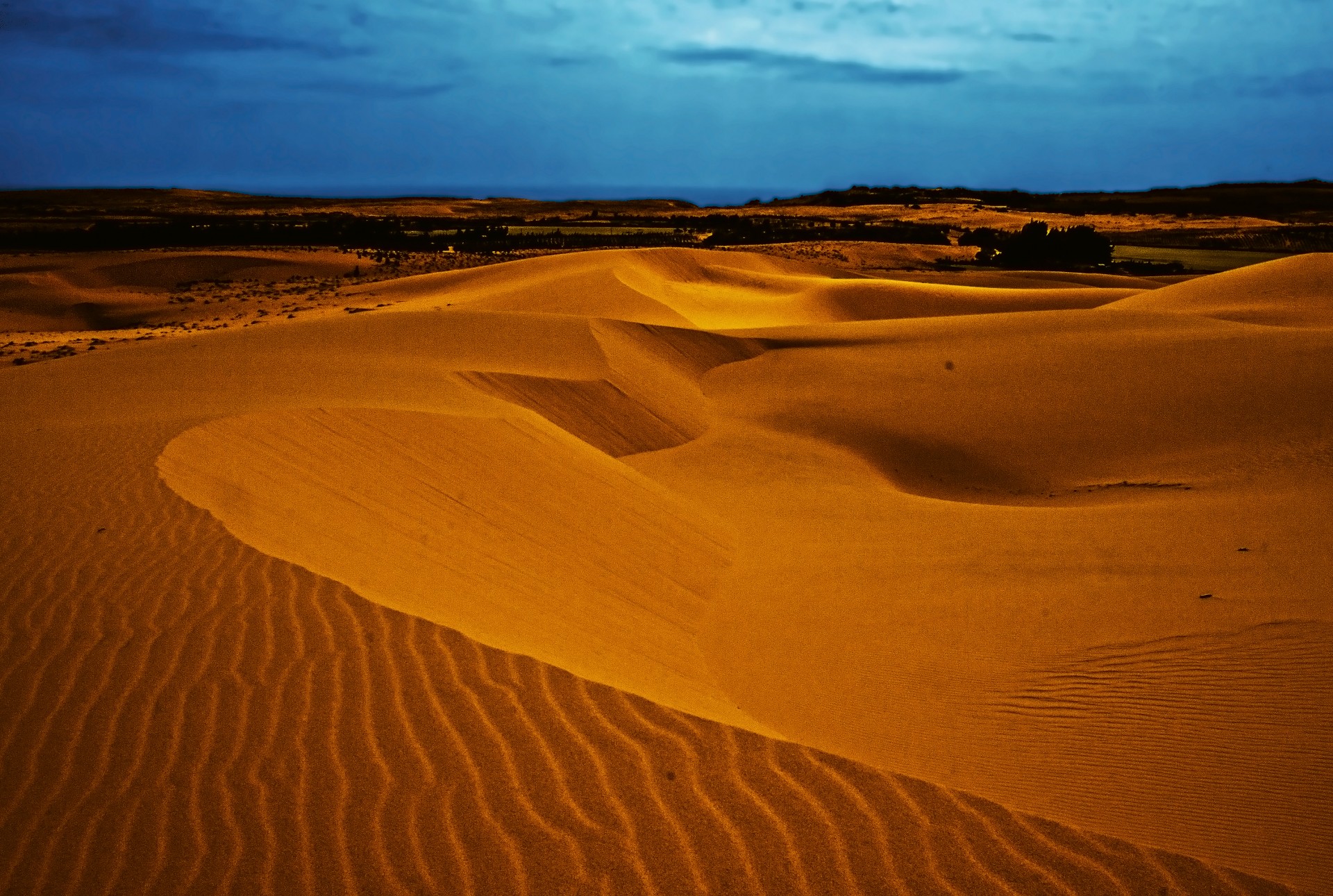 Mui Ne Sand Dunes #1