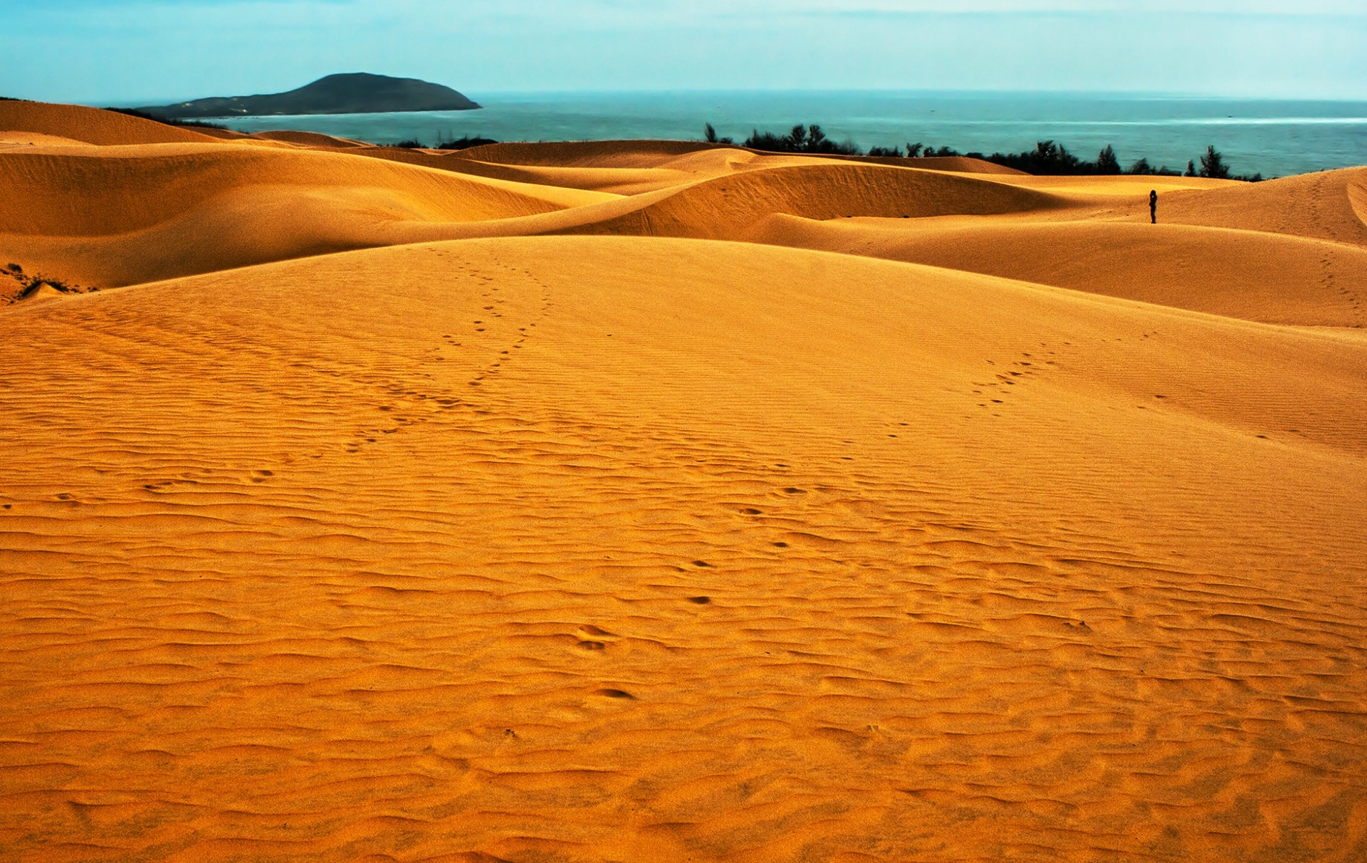 Mui Ne Sand Dunes #7