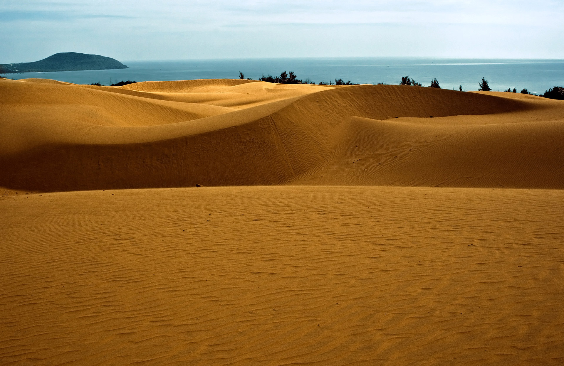 Mui Ne Sand Dunes #8