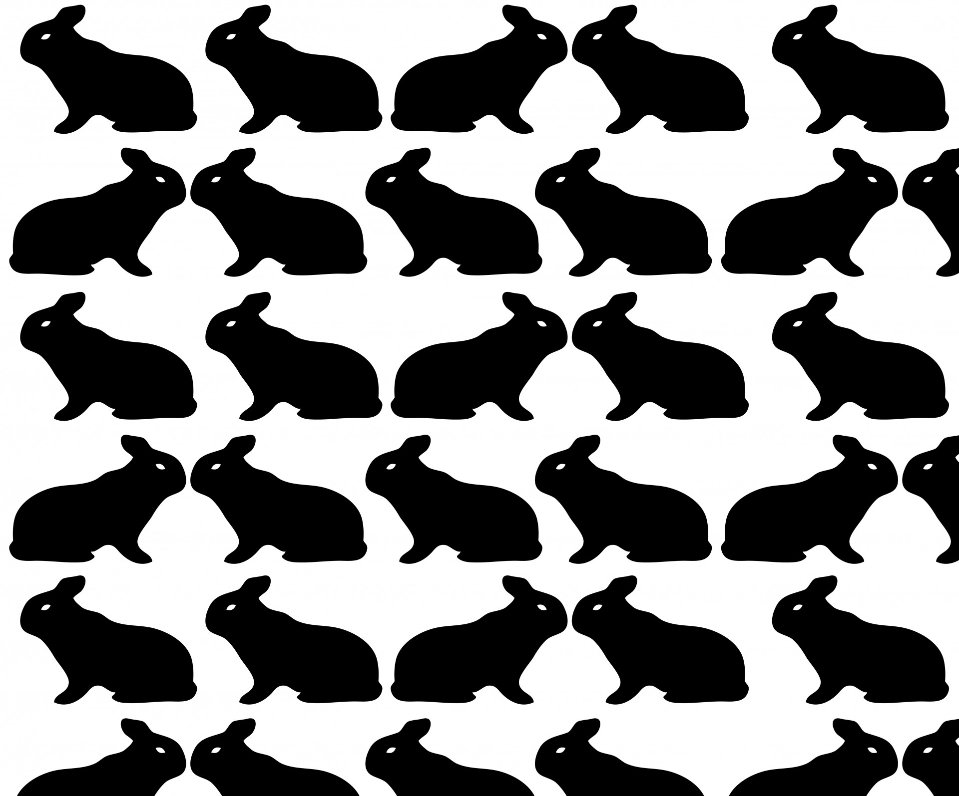 Rabbits Kissing Wallpaper