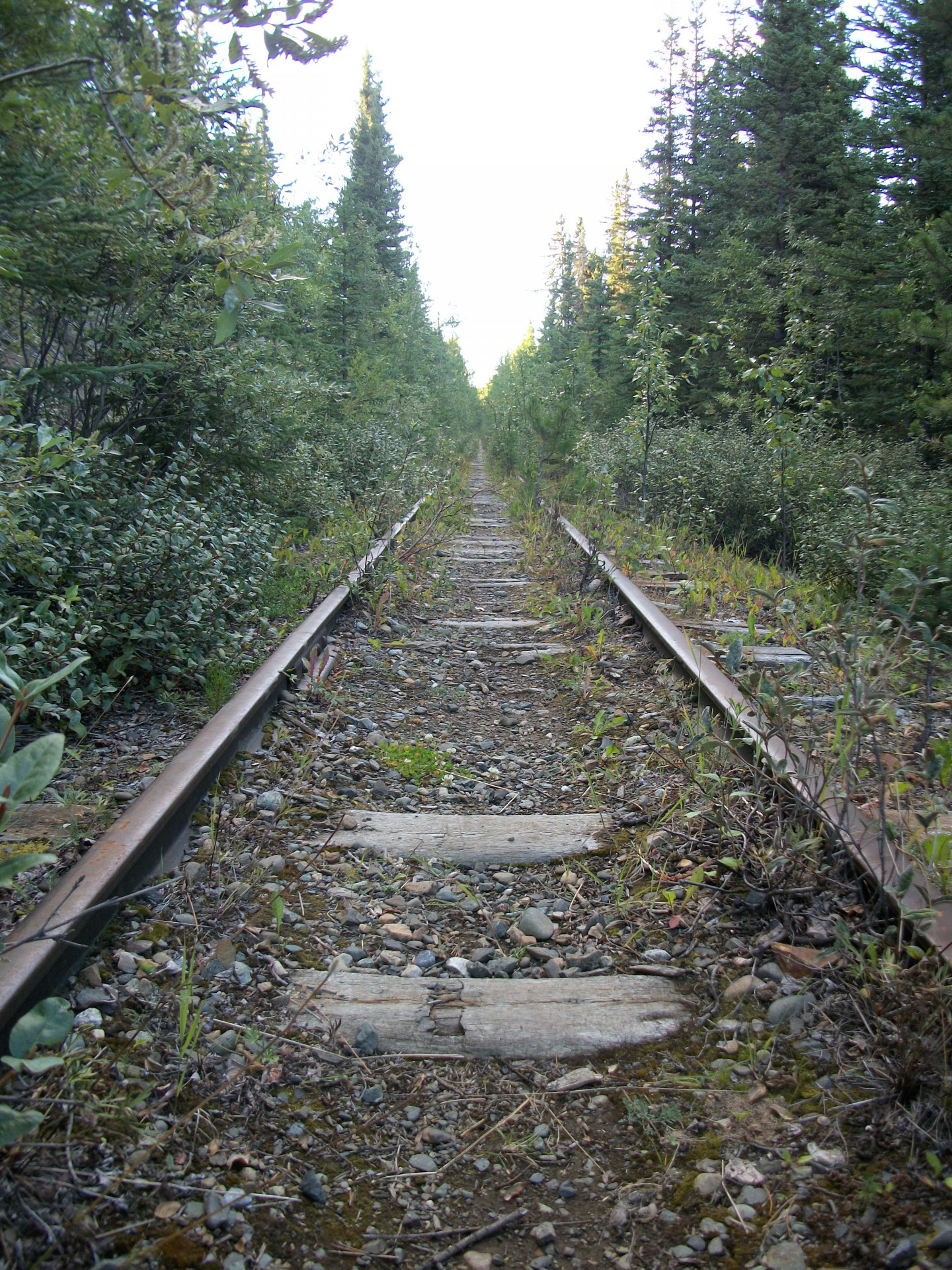 picture of the abandoned tracks near whitehorse yukon