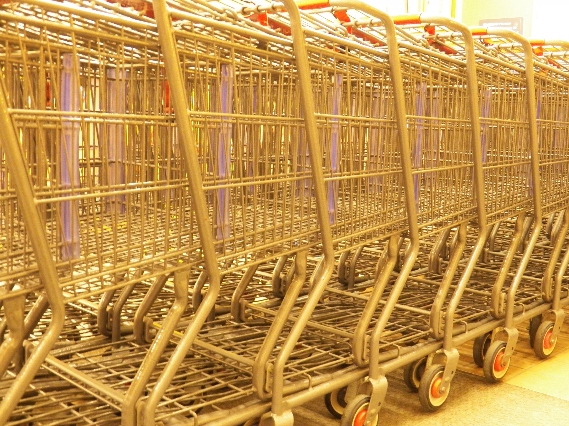 photo of shopping carts