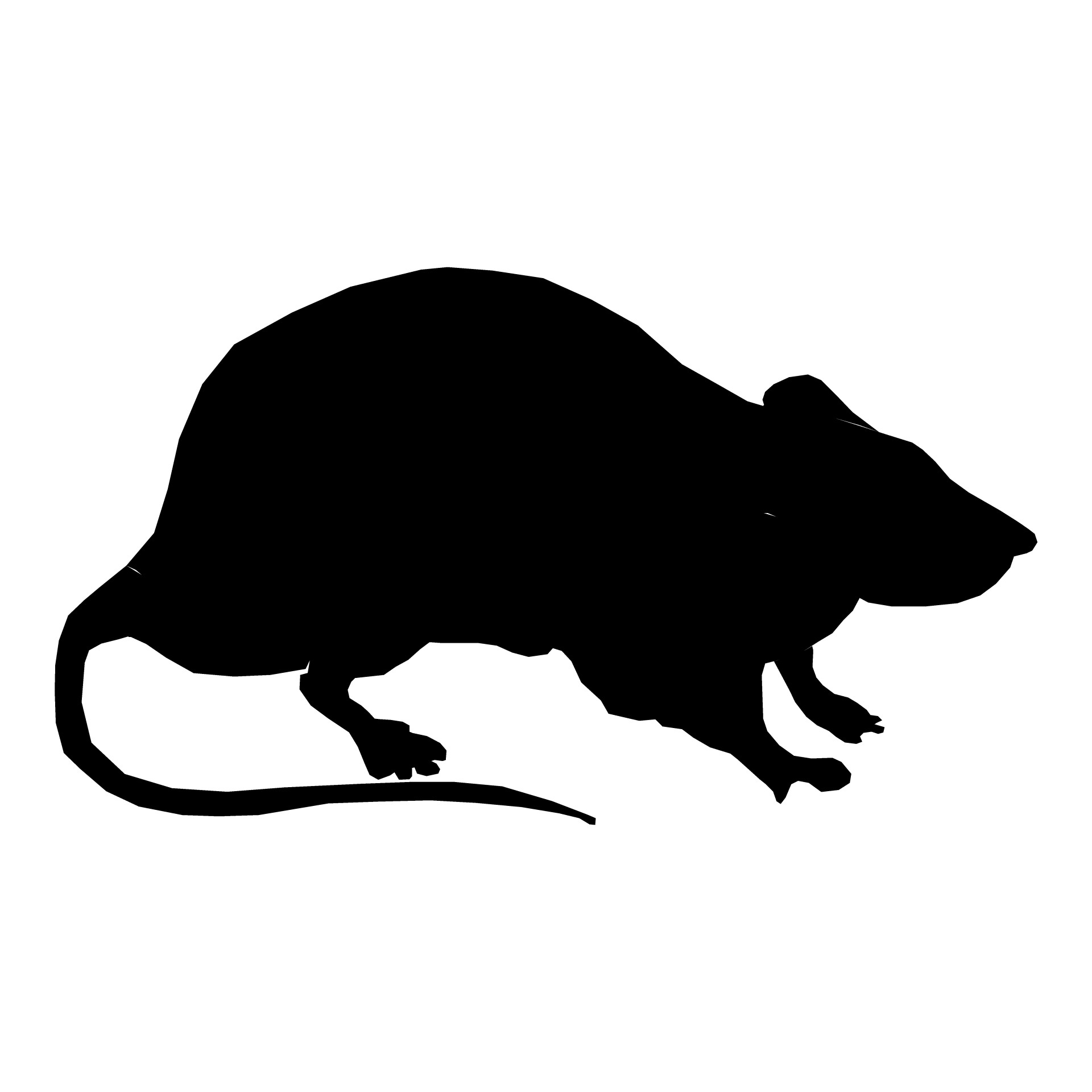 Silhouette Rat