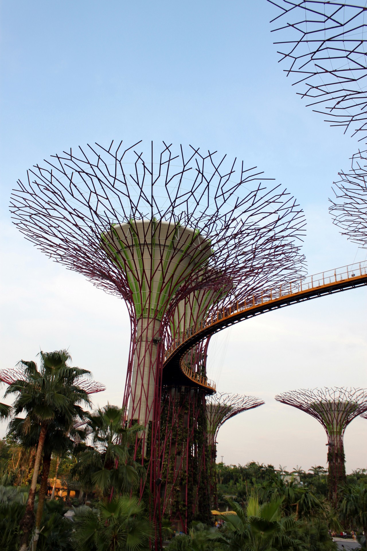 Singapore Sky Tree