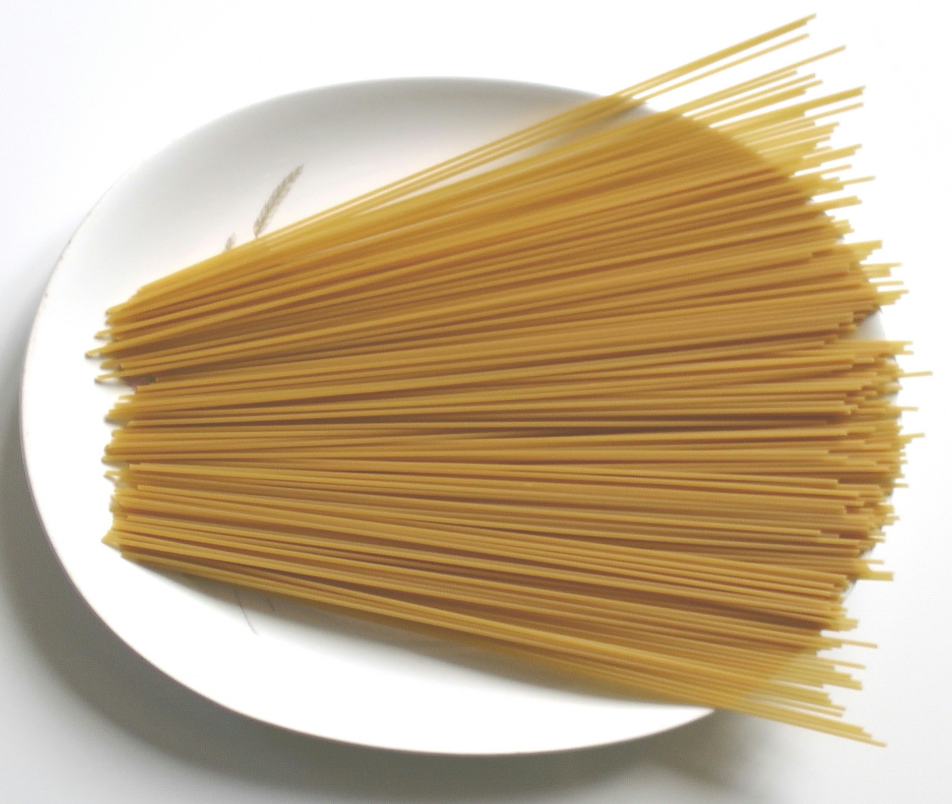Spaghetti On Plate
