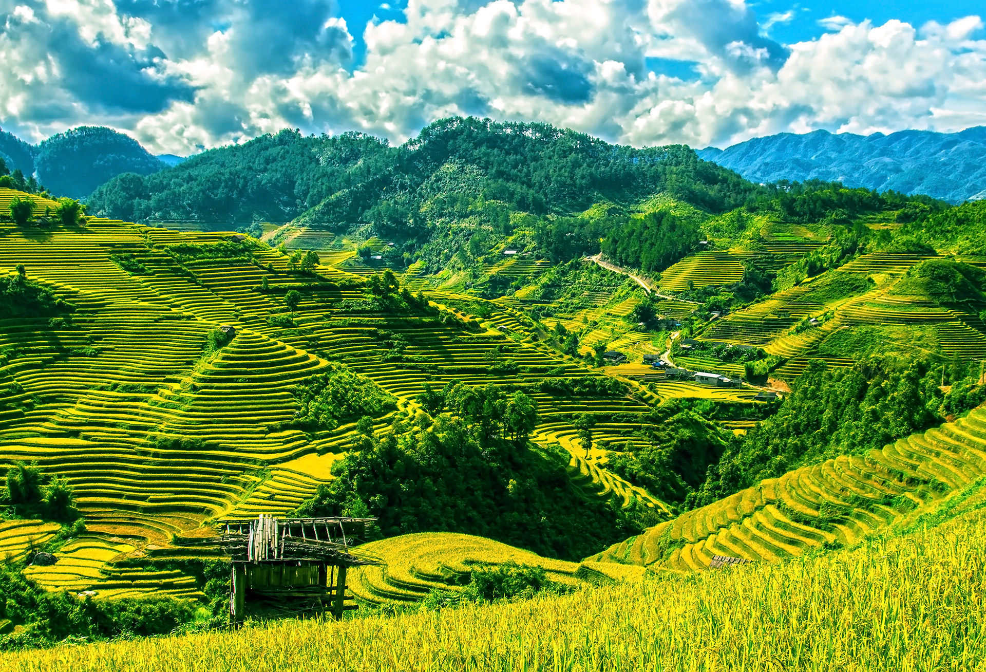 Terraced fields in Mu Cang Chai district, Yen Bai, Vietnam's northwest