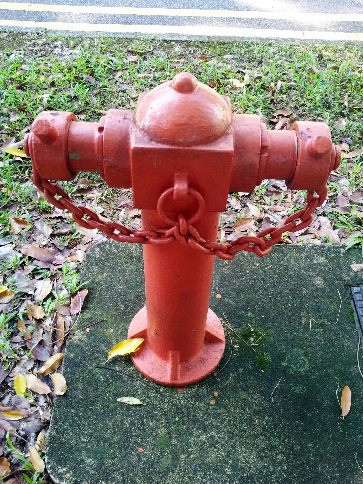 Singapore water valve