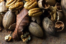 A Collection Of Pecan Nuts & Leaves
