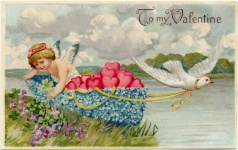 Old Valentine&39;s Day Postcard