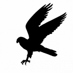 Bird Of Prey Silhouette Clipart
