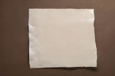 Blank Torn Paper