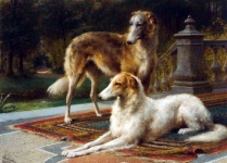 Borzoi Dog Vintage Art