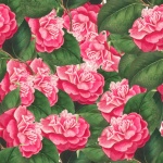 Camellia Flower Repeating Pattern