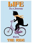 Cat Riding Bicycle Poster