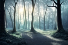 Cold Forest Morning