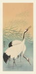 Crane Bird Japanese Vintage Art