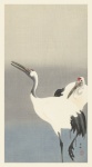 Cranes Japanese Vintage Art