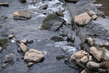 Creek Or River Water With Rocks