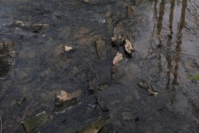 Creek Water With Rocks