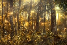 Dense Forest Of Light