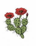 Flowering Cactus Plant Clipart
