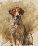 Foxhound Dog Vintage Art