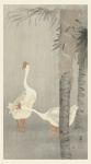 Geese Japanese Vintage Art
