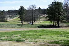 Golf Course Landscape